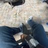 swenxs 的头像