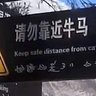 骟♂D巫女小火苗🔥 的头像