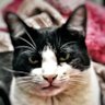 Profilbild von v1t0rbelina