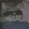 Profilbild von Robbin Abank
