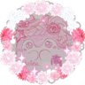 Фото профиля 南ちゃんねる🏵🌻