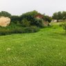 AFK profil fotoğrafı