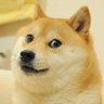 Profilbild von Dave