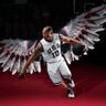 KOBE BEANer BRYANT's profile picture