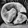 Profilbild von Jonathan Lonsdale
