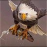 Profilbild von BIG ELINO๐ฆ