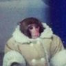 meeltty's profile picture