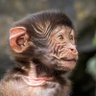 Mekesse Kiddy 🙈🙉🙊's profile picture