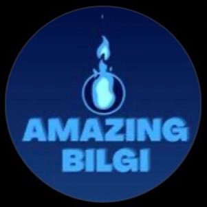 Amazing Bilgi's profile picture
