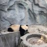 离我远点 profil fotoğrafı