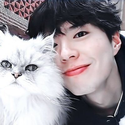 gummy | hyunhae's profile picture
