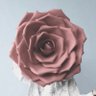 ð©ð§·ðŸ's profile picture