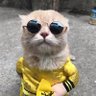 Profilbild von Professor Death