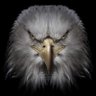 Profilbild von Erci_ERC