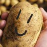 PotatoPlayer🥔🥔🥔 的头像
