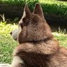 Profilbild von Samuel Gent