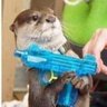 Profilbild von otterlord314