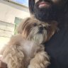 gustavo's profile picture