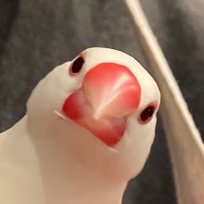 Jack's profile picture