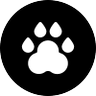 GooGon ๐ต๐ธ|๐ฎ๐ฉ and 237 others's profile picture