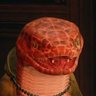 Mr.ハマー's profile picture