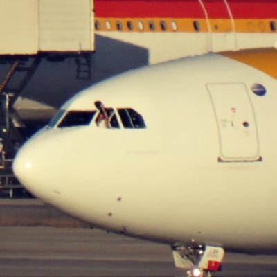 fdeaguilaramat's profile picture