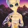 Cousas Da Terra profil fotoğrafı