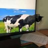 camino al dorado profil fotoğrafı