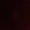 Yi's profile picture