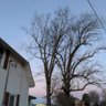 Фото профиля Peasant in a small town