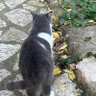 AB profil fotoğrafı