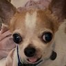 akito's profile picture