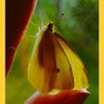 Фото профиля Moja duša
