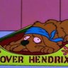 perro_hendrix's profile picture