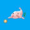 Profilbild von HODLFUD 🐡