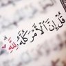 Фото профиля احمد ابو عزيز