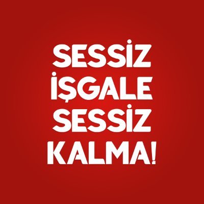sessizisgal's profile picture