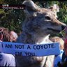Фото профиля Coyote