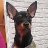 Profilbild von el justiciero