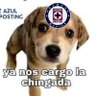 Roy Azul profil fotoğrafı