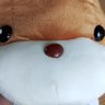 ゆで卵 profil fotoğrafı