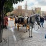 isukeemon profil fotoğrafı
