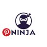 🥷NinjaPinterest's profile picture