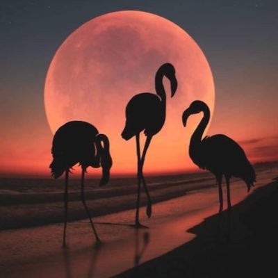 WengUae's profile picture