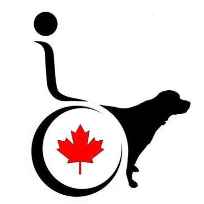 Anything's PawsAble's profile picture