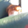 NateBlade/Etrnl_T (ALT)'s profile picture