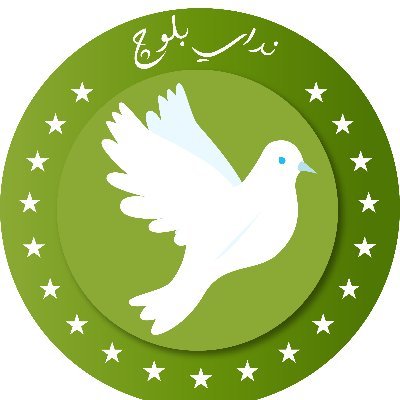 ندای بلوچ_Nedaeybaloch's profile picture