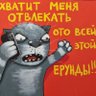 Ничево свитова! 的头像