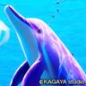 ã¹ãŒããŒã»ããð¬ð¬ð¬Â®ïžð's profile picture