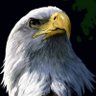 Profilbild von cem
